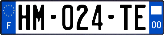 HM-024-TE