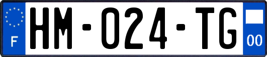 HM-024-TG