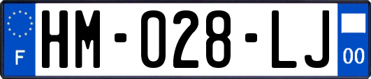 HM-028-LJ