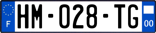 HM-028-TG
