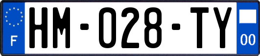 HM-028-TY