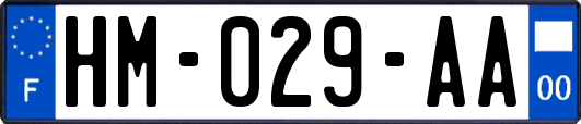 HM-029-AA