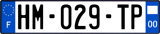 HM-029-TP