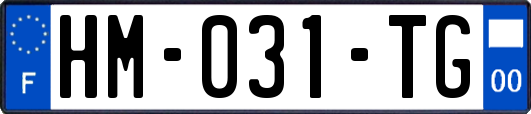 HM-031-TG
