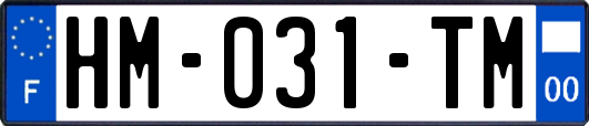HM-031-TM