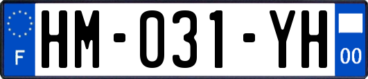 HM-031-YH
