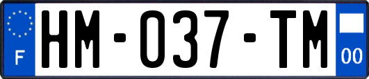 HM-037-TM