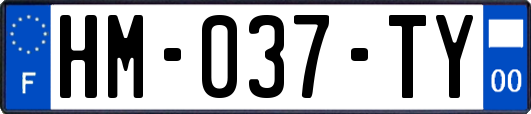 HM-037-TY