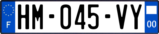 HM-045-VY