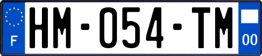 HM-054-TM