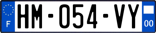 HM-054-VY
