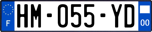 HM-055-YD