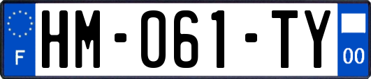 HM-061-TY