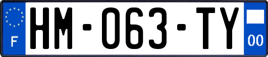 HM-063-TY