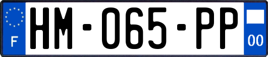 HM-065-PP