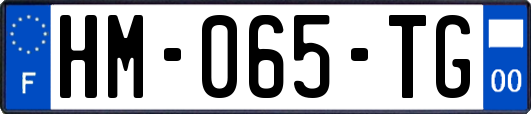 HM-065-TG