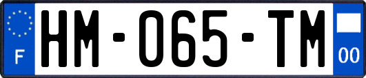 HM-065-TM