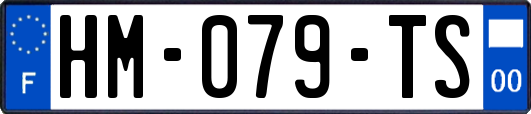 HM-079-TS