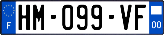HM-099-VF