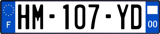 HM-107-YD