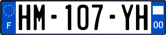 HM-107-YH