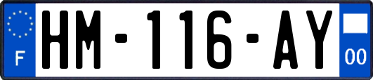 HM-116-AY