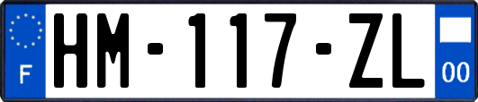 HM-117-ZL