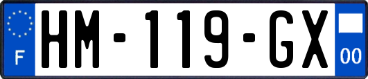 HM-119-GX