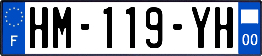 HM-119-YH