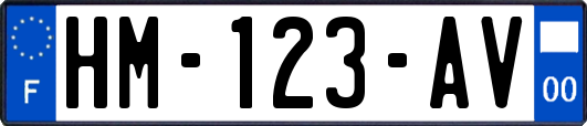 HM-123-AV