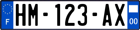 HM-123-AX
