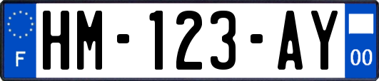 HM-123-AY