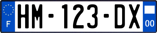 HM-123-DX
