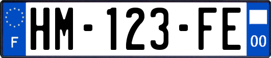 HM-123-FE