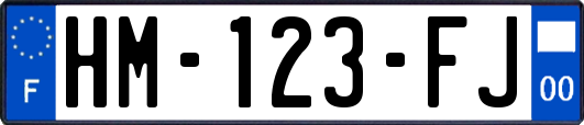 HM-123-FJ