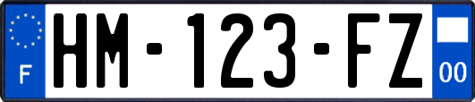 HM-123-FZ