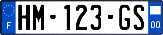 HM-123-GS