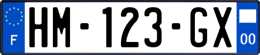 HM-123-GX