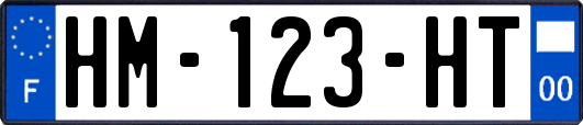 HM-123-HT