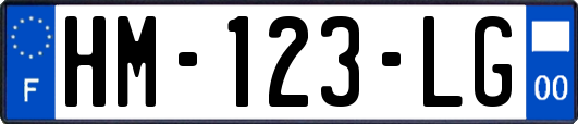 HM-123-LG