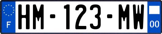 HM-123-MW
