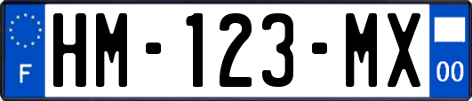 HM-123-MX