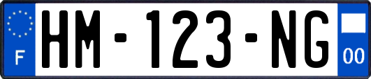 HM-123-NG