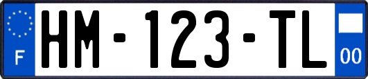 HM-123-TL