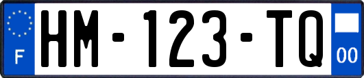 HM-123-TQ
