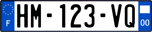 HM-123-VQ