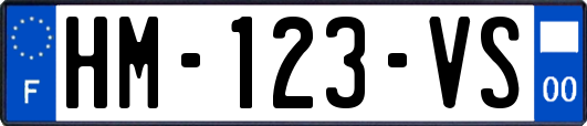 HM-123-VS