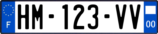 HM-123-VV