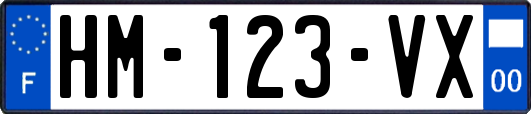 HM-123-VX