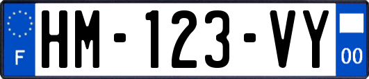 HM-123-VY